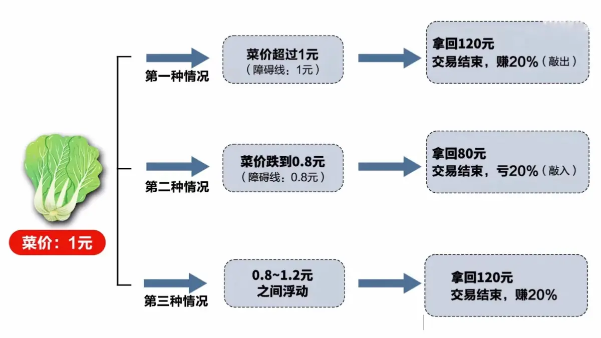 富阳获取雪球产品报价