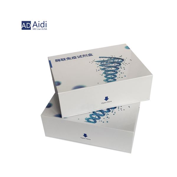 ELISA试剂盒|高灵敏度检测生物分子的利器