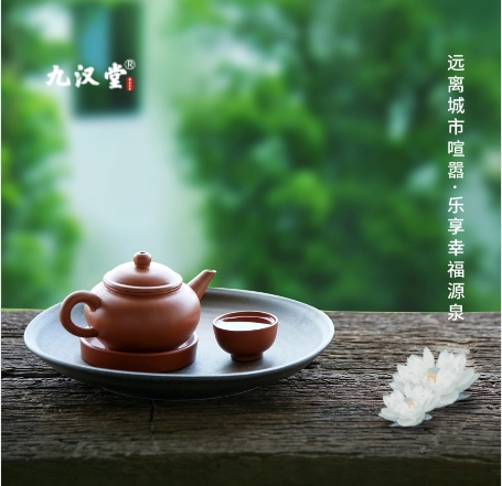 九汉堂白茶：健康之饮，品味之选